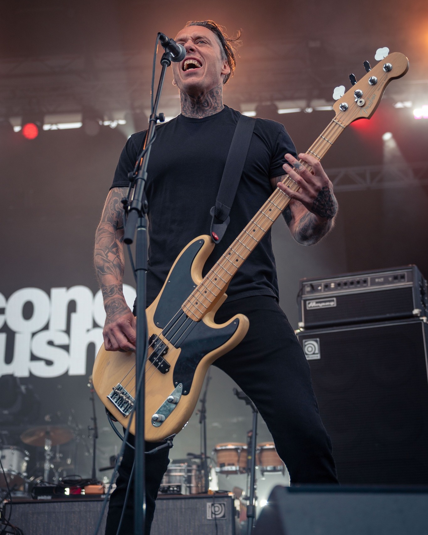 Econoline Crush